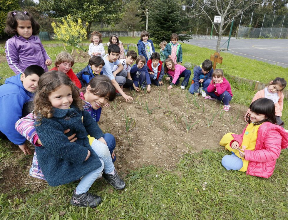 Los alumnos del Ceip San Cosme trabajaron ayer en el invernadero de su huerto ecológico.