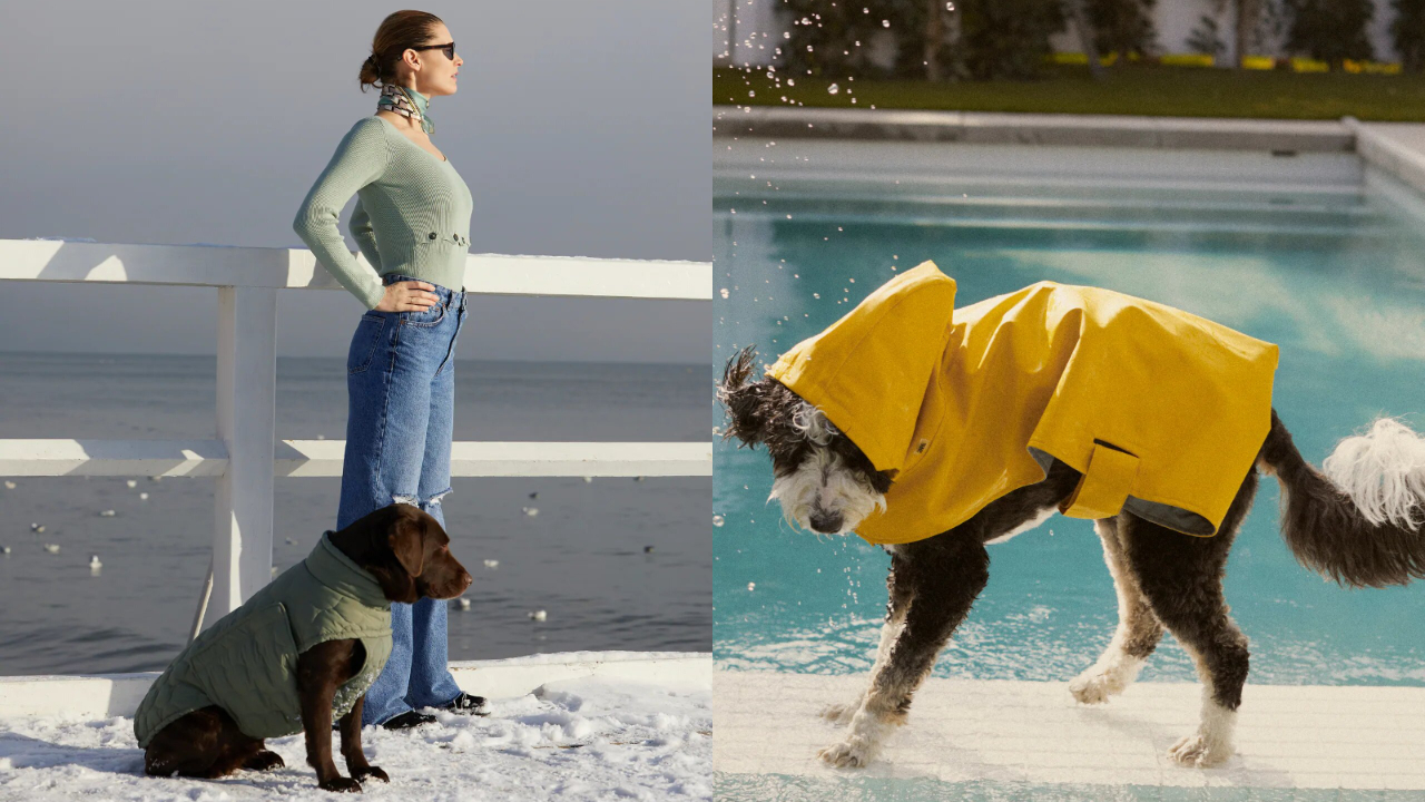 Zara lanza su colección para perros