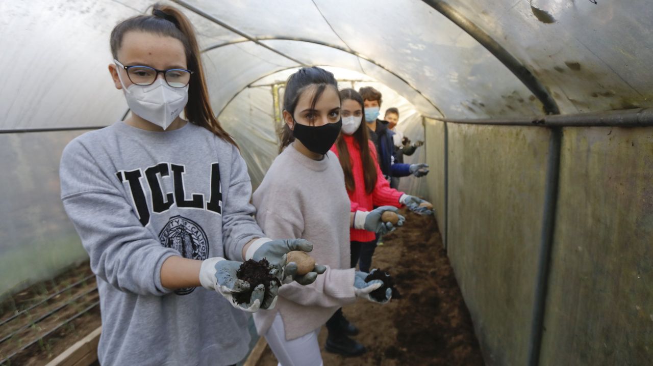Colegios e institutos de Santiago innovan en nuevas masculinidades o en enseñar a alimentarse bien - Vimarsana News
