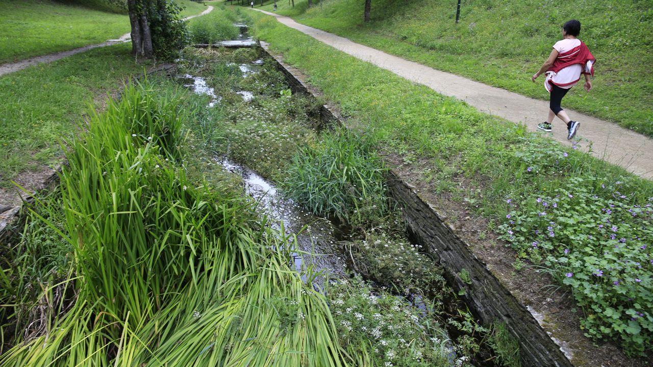El paseo del Rato, muestra de abandono de una ruta natural protegida - Vimarsana News
