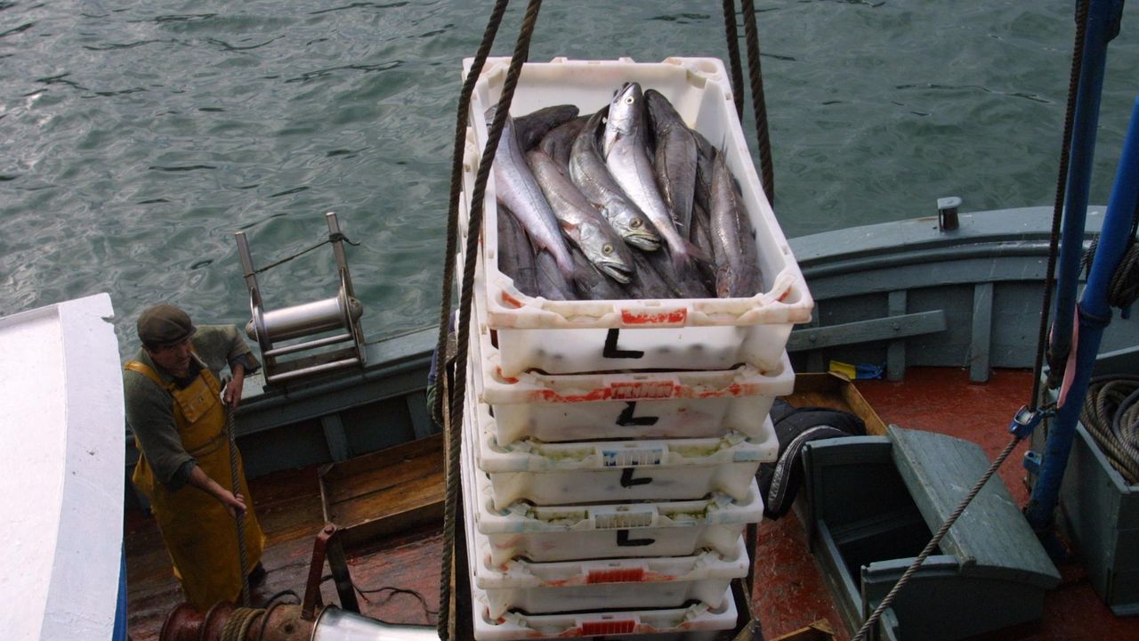 Entre Tableta Explícito Cada barco de bajura puede pescar 9.000 kilos de merluza este año