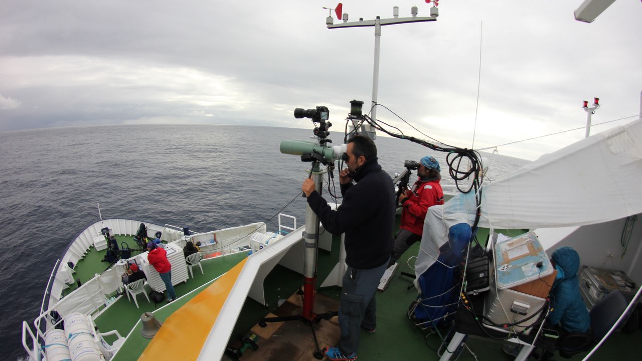 Un océanographe, 8 avions et 80 scientifiques pour estimer l’abondance des cétacés dans les eaux européennes