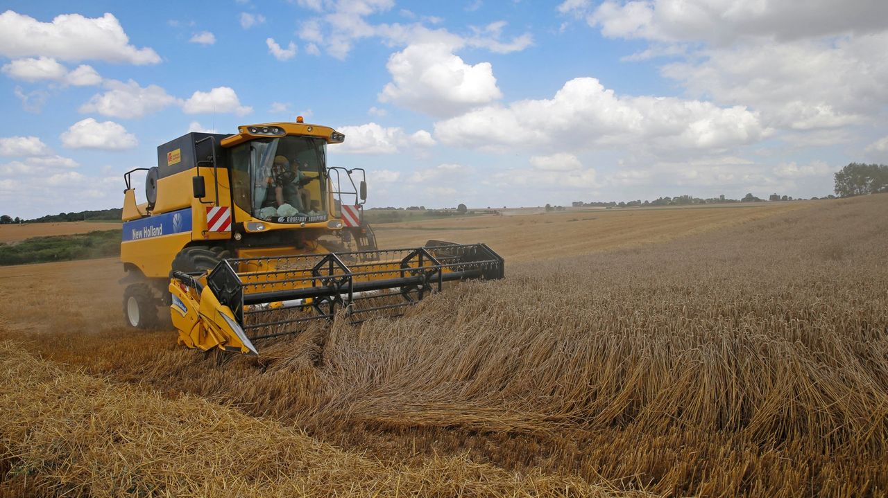 La sécheresse en France et en Espagne intérieure rend la récolte de blé difficile