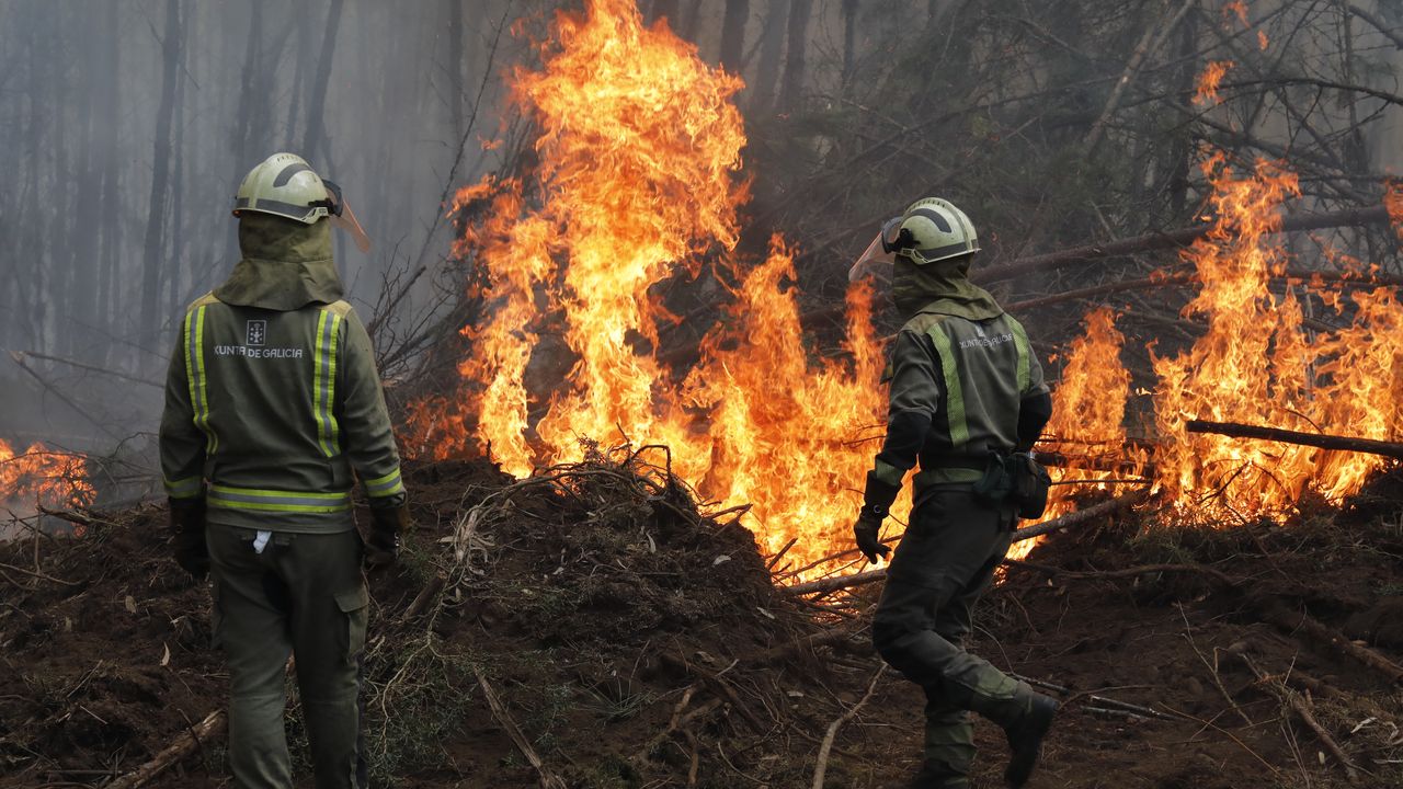 Novo incêndio em Portugal põe Arbo em alerta