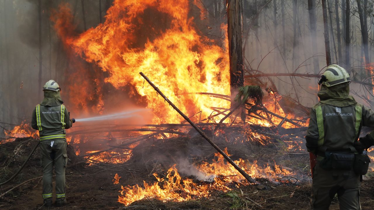 Os dois incêndios Arbo queimaram um total de 576 hectares
