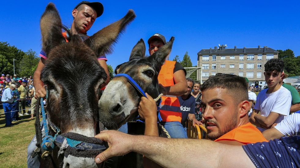 Todas las fotos de la carrera de burros de Escairón 2022