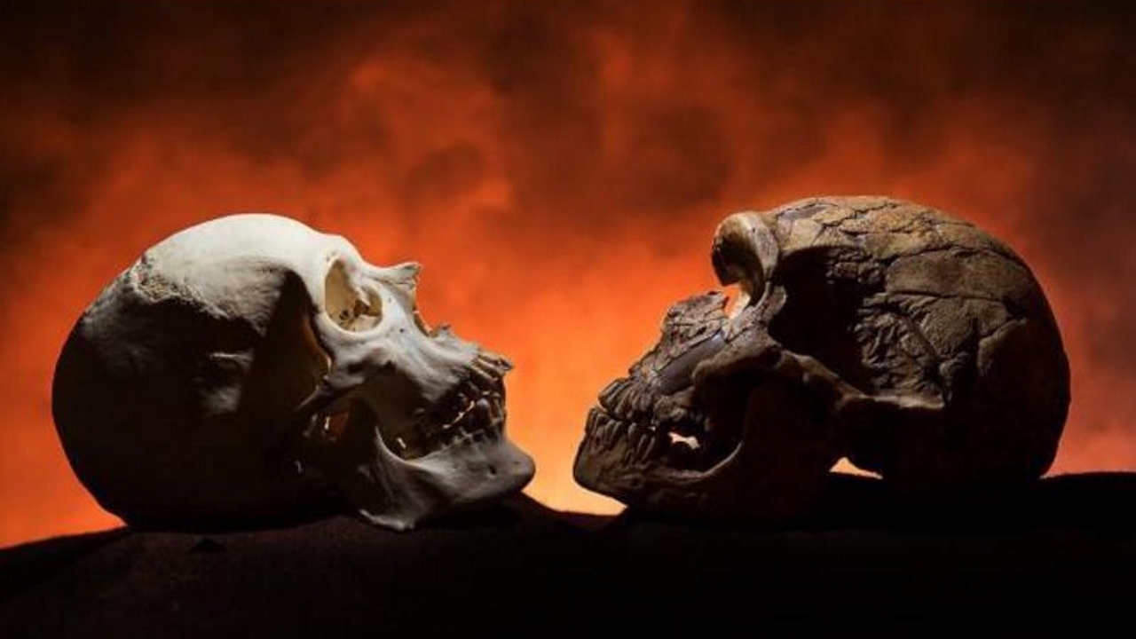 Les hommes modernes et les Néandertaliens ont coexisté en Espagne et en France pendant plus de 1 400 ans