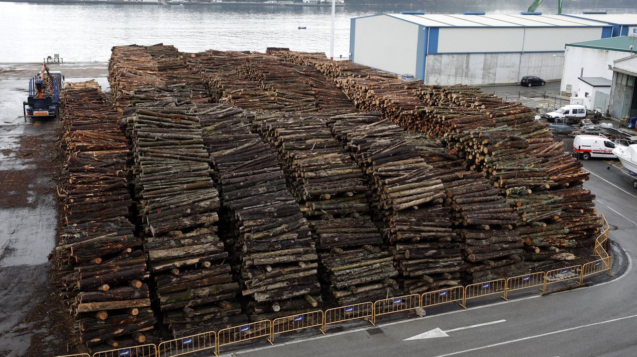 30% da madeira macia galega não pode ser utilizada por razões técnicas e legais