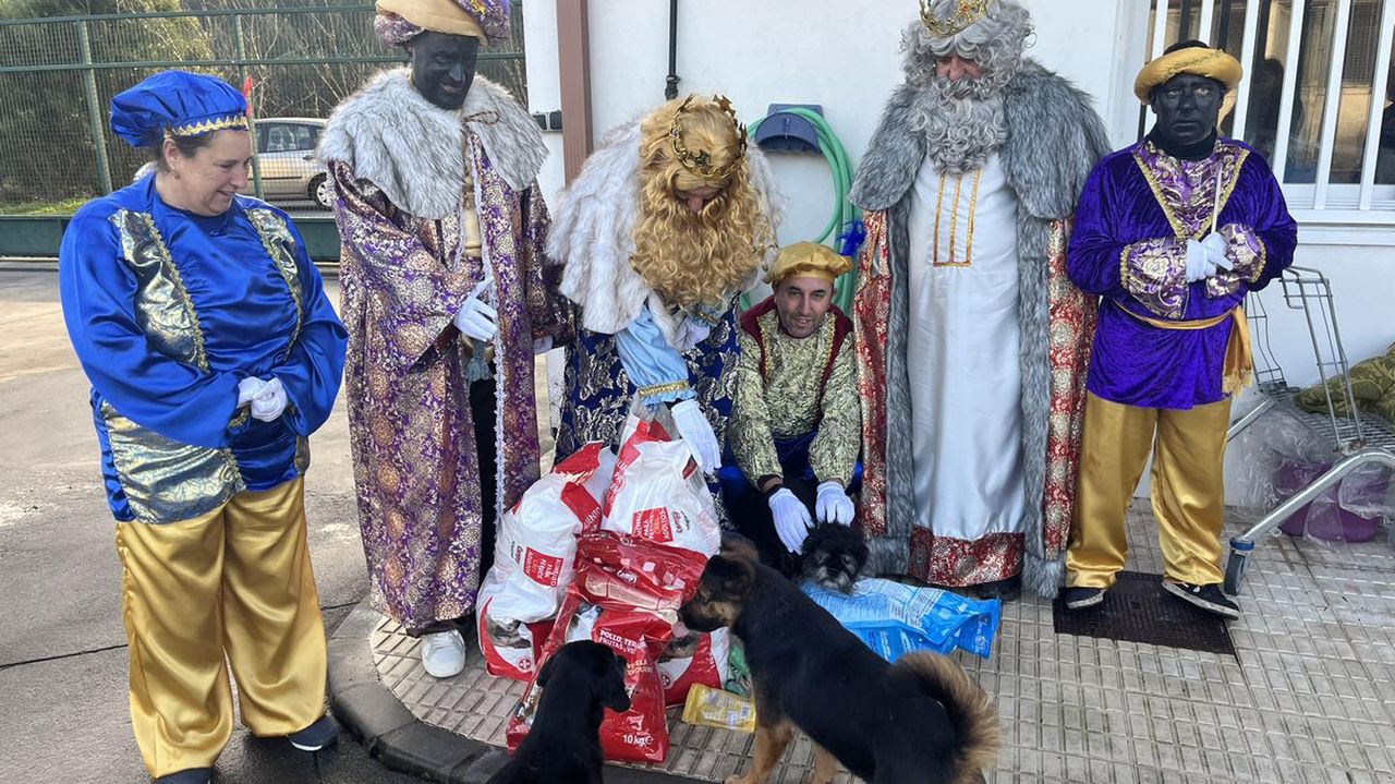 Magia navideña en el refugio de Pinar do Rei