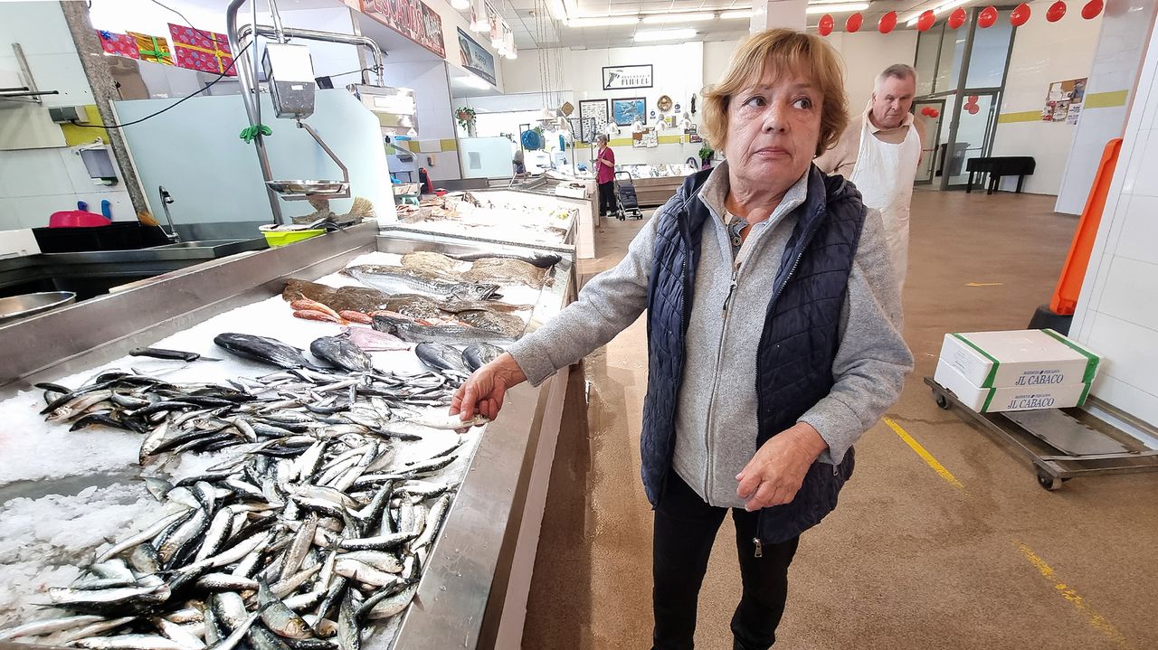 La temporada alta de sardina se hace de rogar y la que hay «aínda non molla o pan»
