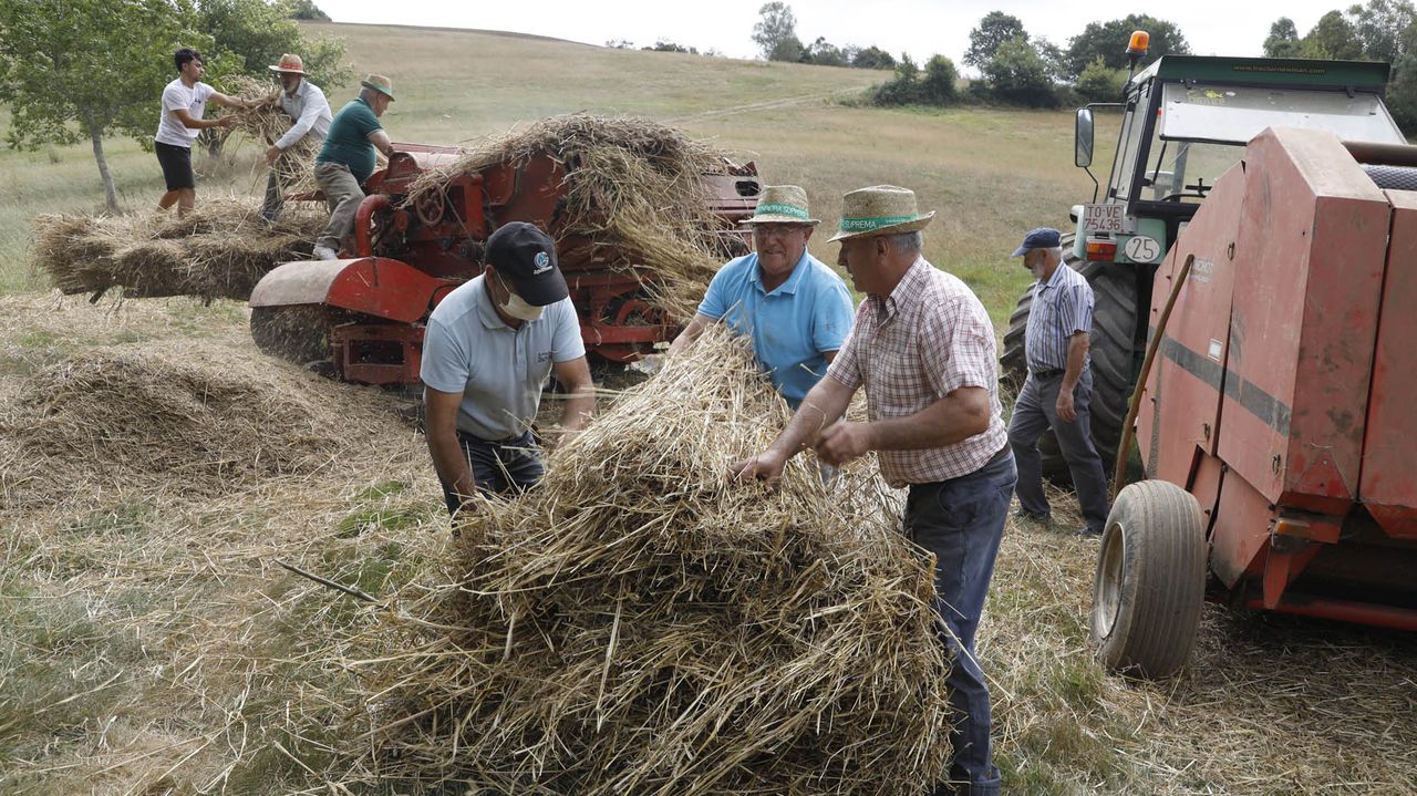 A malla de José Ramón Álvarez, de Baleira