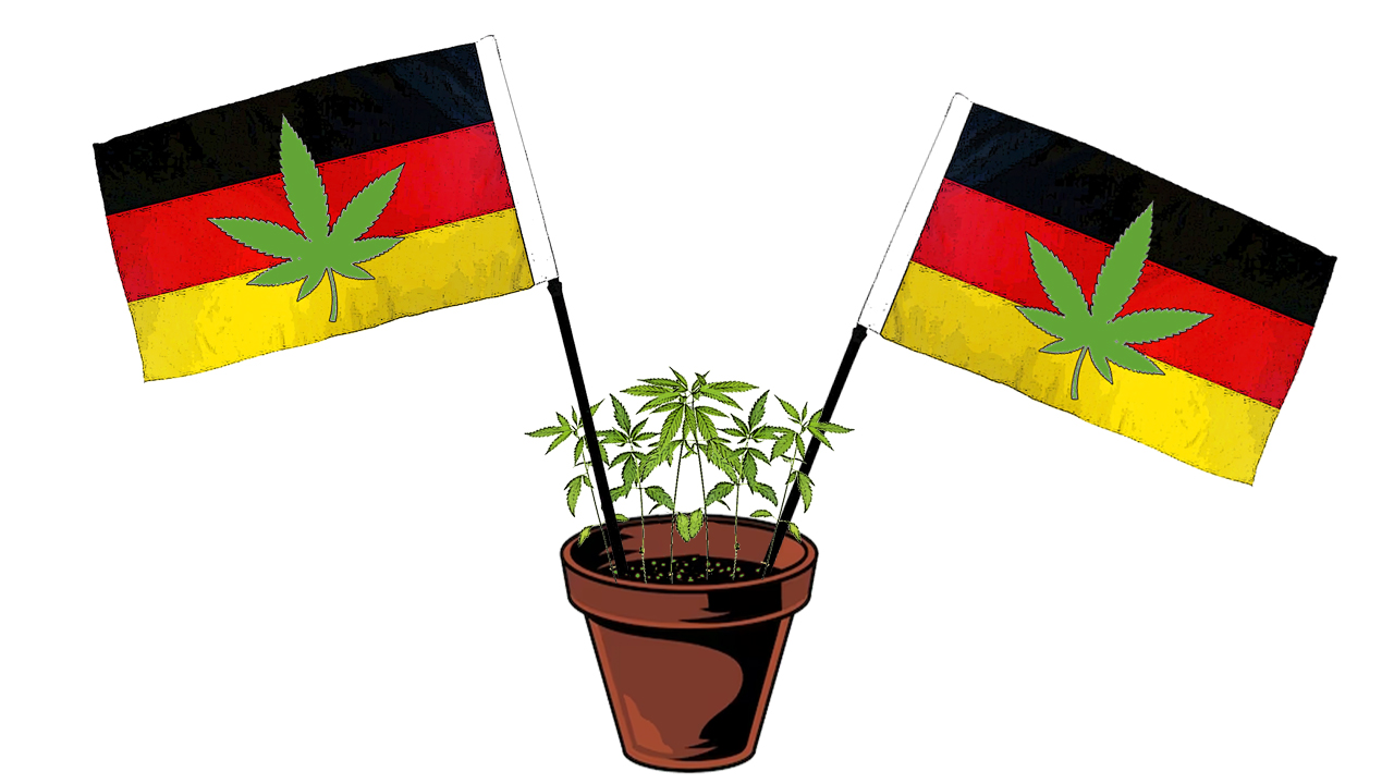 Alemania quiere legalizar el uso recreativo de la marihuana para