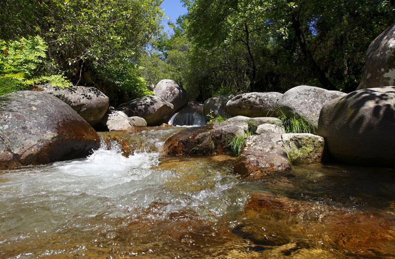 Catedral de Santiago
