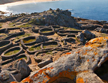 Castro Baroña