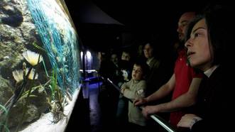Acuario de O Grove. Las instalaciones de Punta Moreira se reabrieron en el 2013 con la aspiraci&oacute;n de consolidarse como reclamo tur&iacute;stico de las R&iacute;as Baixas. Con multitud de especies marinas, el recinto cuenta tambi&eacute;n con la recreaci&oacute;n de una batea y con un tanque que permite al visitante coger con la mano un caramujo o unos erizos de mar. Los ni&ntilde;os podr&aacute;n contemplar un tibur&oacute;n toro.