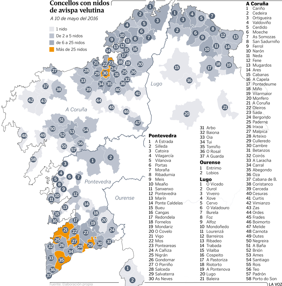 graficoavispa